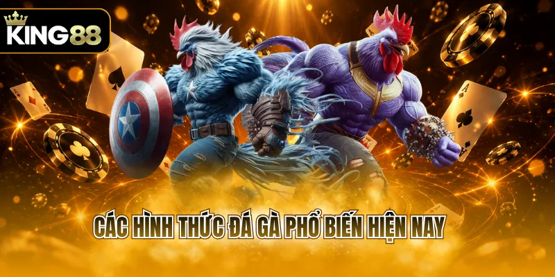 Các hình thức đá gà phổ biến hiện nay