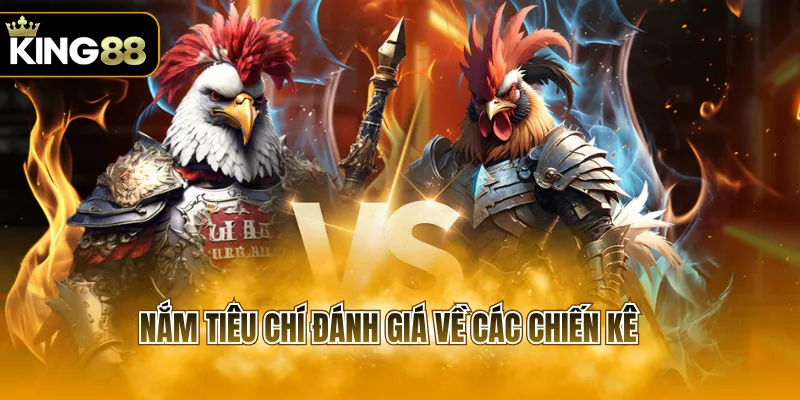 Nắm tiêu chí đánh giá về các chiến kê