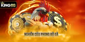 nghiên cứu phong độ gà